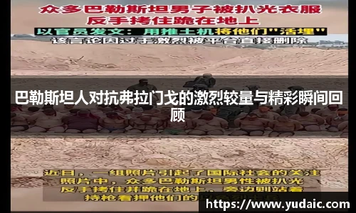 bsports必一体育